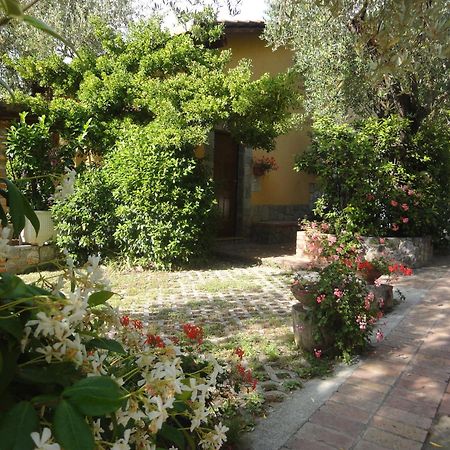 Residence E B&B Villamirella Palinuro Buitenkant foto
